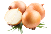 Dehydrated Onion Image